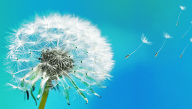 Growing Through Challenge